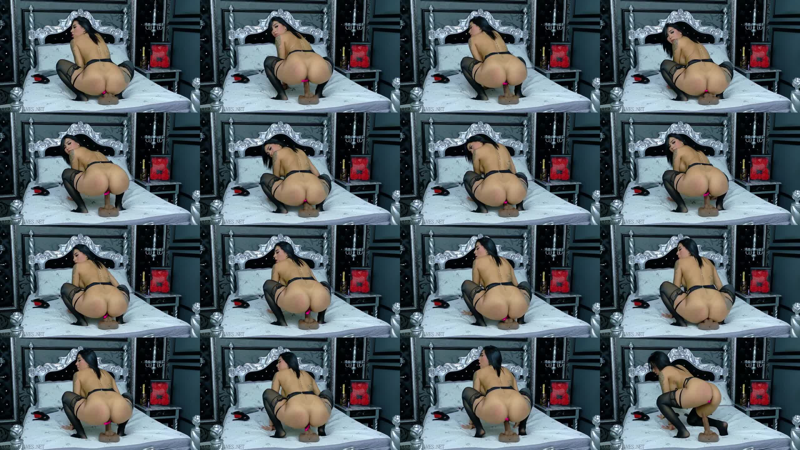 AnetteLawrence